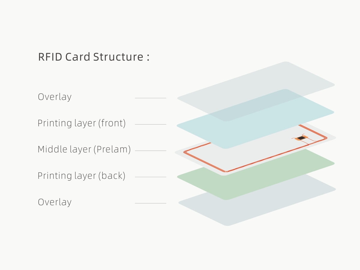عرض تقني مفصل يوضح الهوائي النحاسي الداخلي والشريحة الذكية المدمجة داخل بطاقة ولاء RFID متينة من PVC.