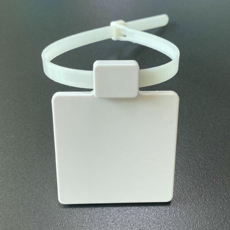 منظر أمامي يوضح وسم RFID برباط كابلات Z5555-1 بعد إغلاقه في حلقة مرتبة مع ظهور لوحة الوسم المربعة للأمام على سطح داكن.