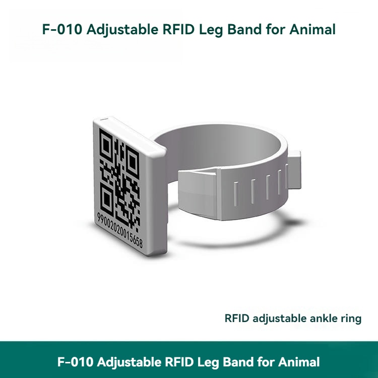 يدعم سوار الأرجل RFID F010 تتبع دورة الحياة الكاملة وإدارة سلامة الغذاء في مزارع الدواجن الحديثة.