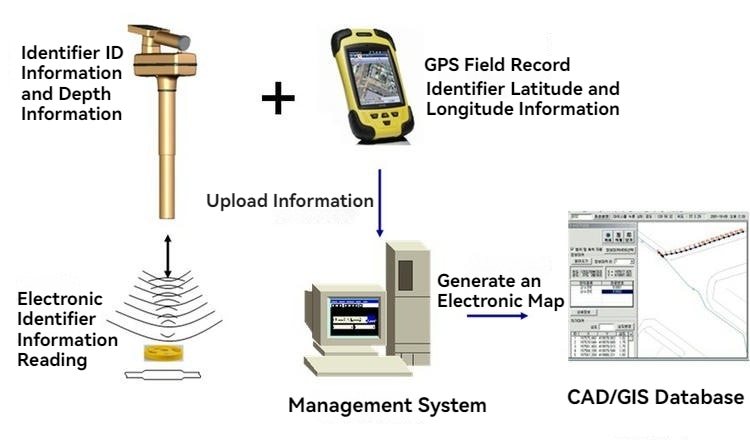 يوضح مخطط سير العمل قيام ED8000 بقراءة معرف العلامة وبيانات العمق ثم دمج سجلات GPS لاستخدامها في خرائط CAD وGIS.