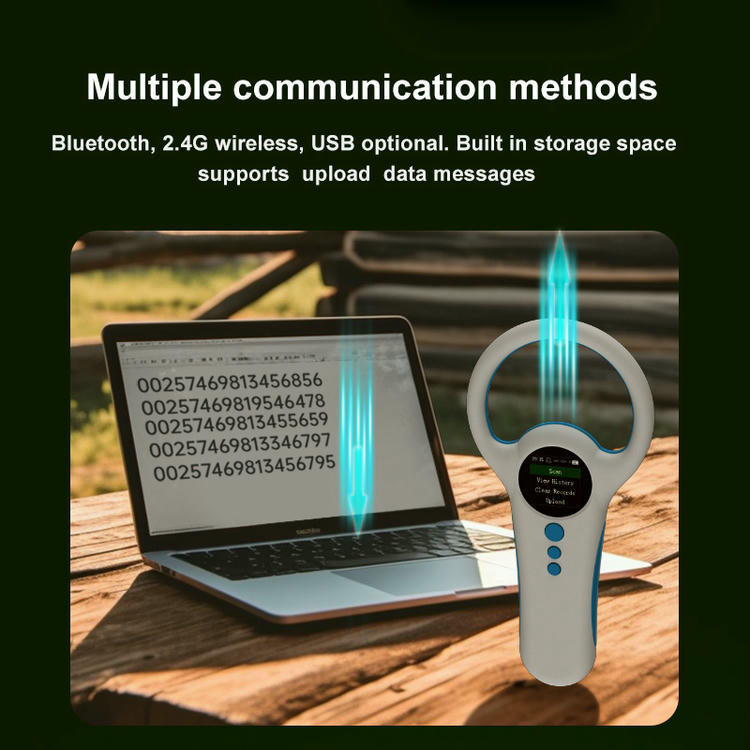 رسم لطرق الاتصال في W91B يوضح Bluetooth و2.4G اللاسلكي ورفع البيانات عبر USB إلى حاسوب محمول