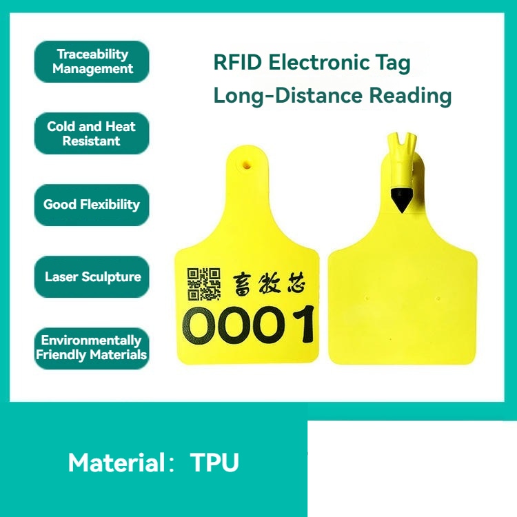 تظهر علامة تعريف الماشية E017 كمجموعة كاملة تشمل علامة RFID ومسمار الأذن المتين المطابق.