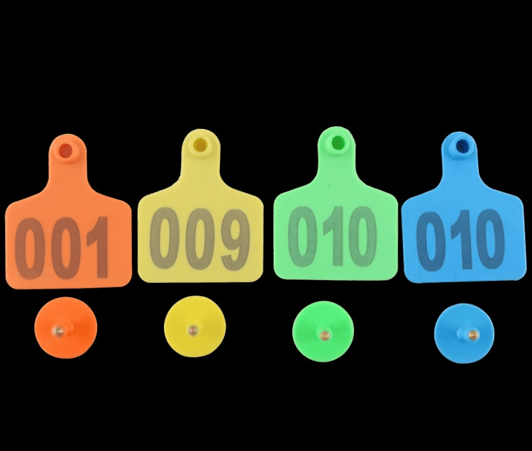 صورة تعرض عدة وسوم أذن RFID للماشية E-021 مرتبة في صفوف لإظهار شكل الدفعة وثبات هيكل الوسم.