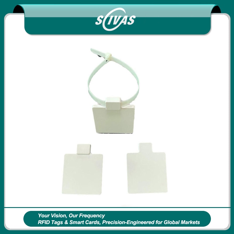 تُظهر صورة بانر SCIVAS وسم رباط كابلات RFID طراز Z5555-1 مع عينة واحدة ملتفة وواجهتين مربعتين فارغتين للوسم.